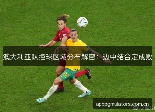 澳大利亚队控球区域分布解密：边中结合定成败